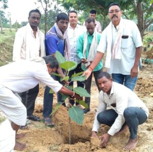 मुरली पंचायत में 4 हजार फलदार पौधों का रोपण,हरियाली बढ़ाने के साथ पर्यावरण संरक्षण का दिया संदेश।